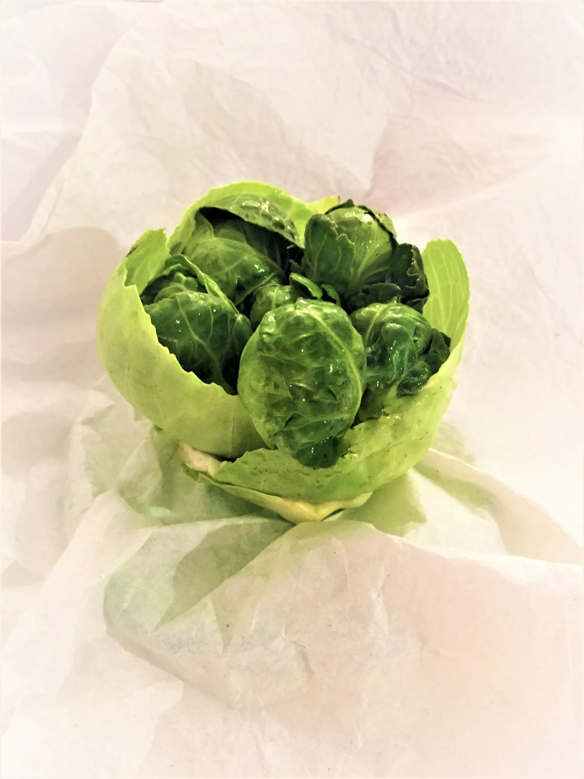 Brussels Sprouts