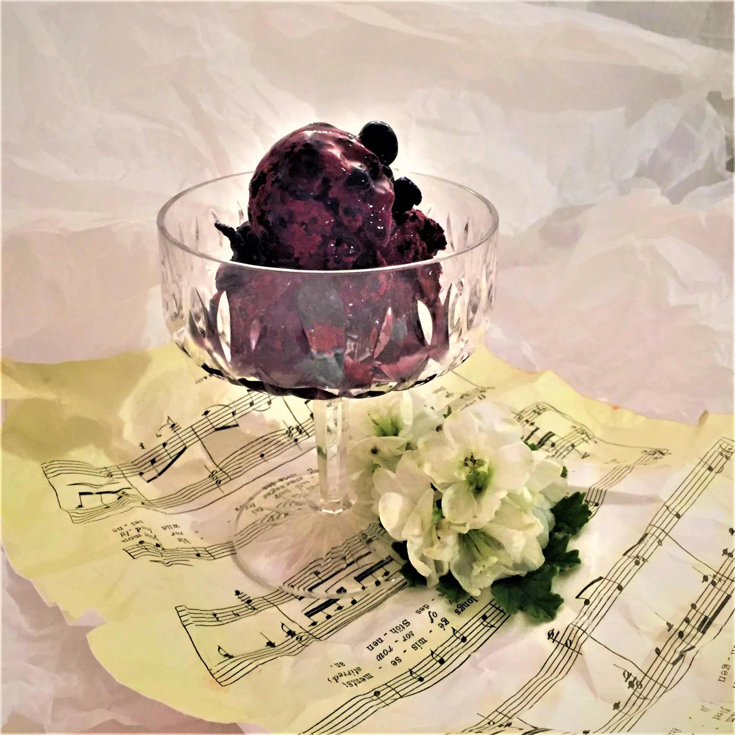 Home-Made Blueberry Ice Cream
