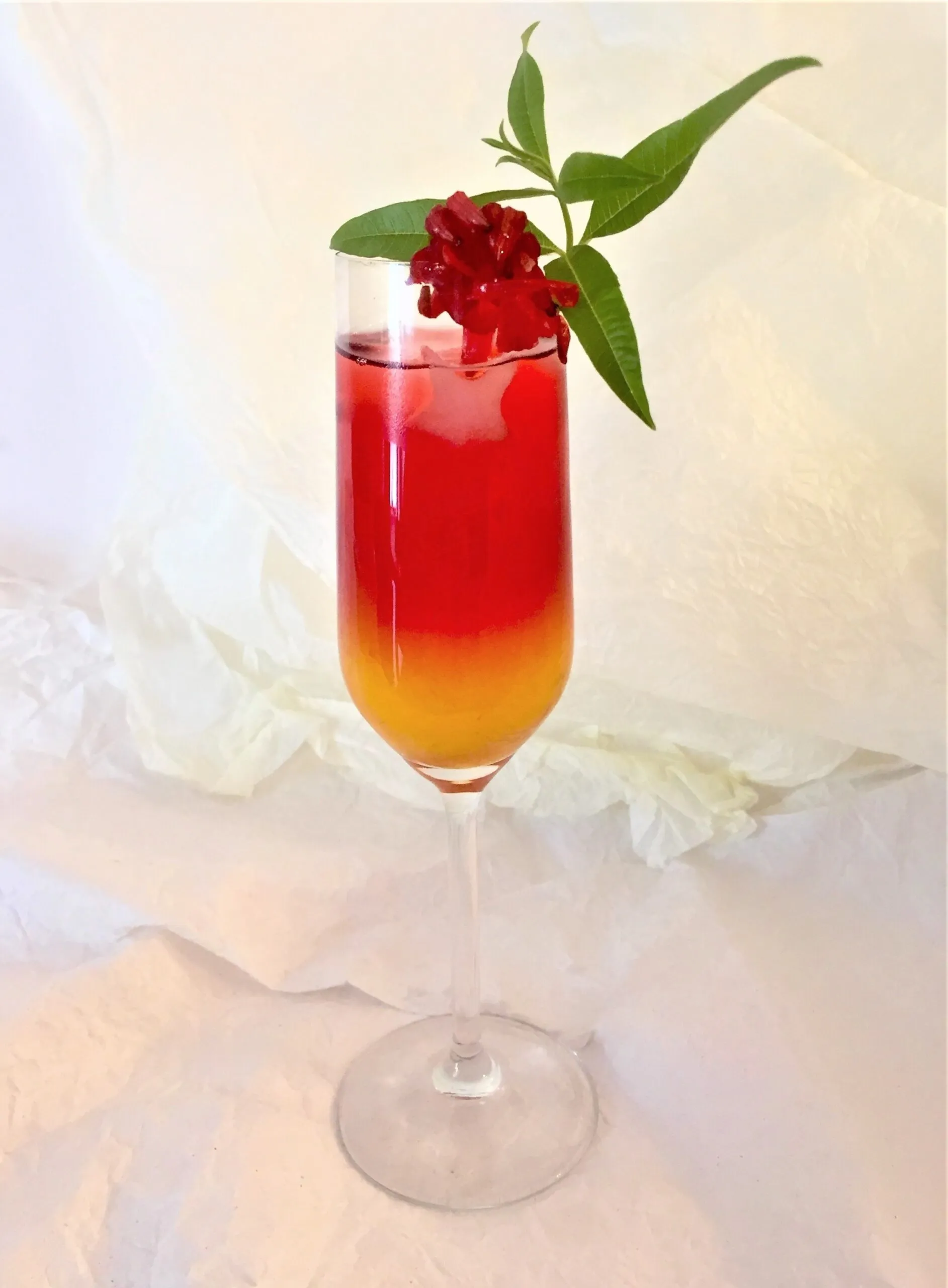 Hibiscus Iced Tea