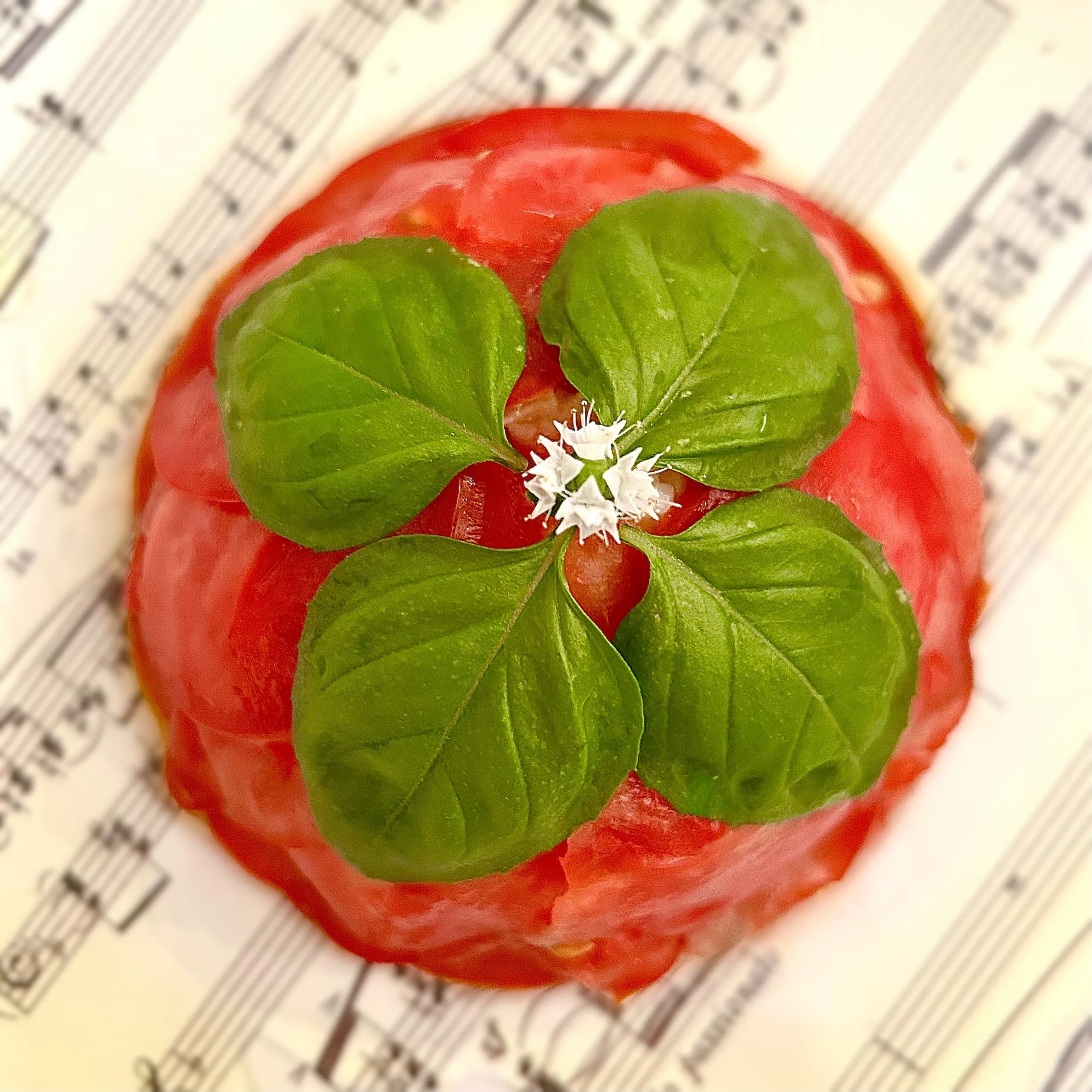 Soprano in the Kitchen | Tomato Rice Soprano in the Kitchen | Tomato Rice
